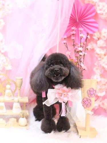 20250304るなちゃん